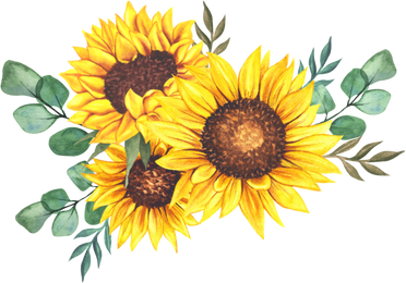 Illustration of Sunflower Bouquet